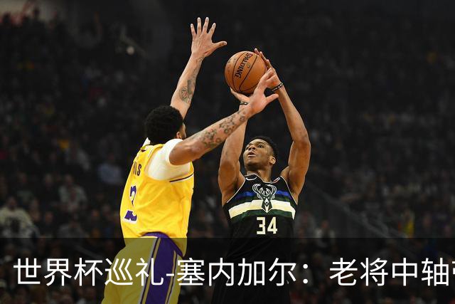 世界杯巡礼-塞内加尔：老将中轴带来安全感，非洲顶流前景可期！