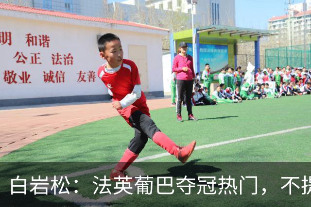 白岩松：法英葡巴夺冠热门，不提阿根廷因为是真喜欢我怕我像贝利